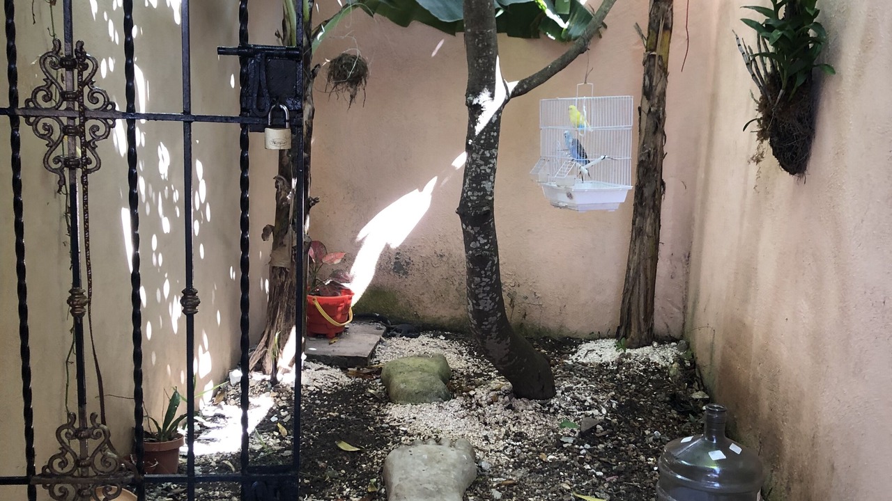 Photo of Outdoor in Santo Domingo Este