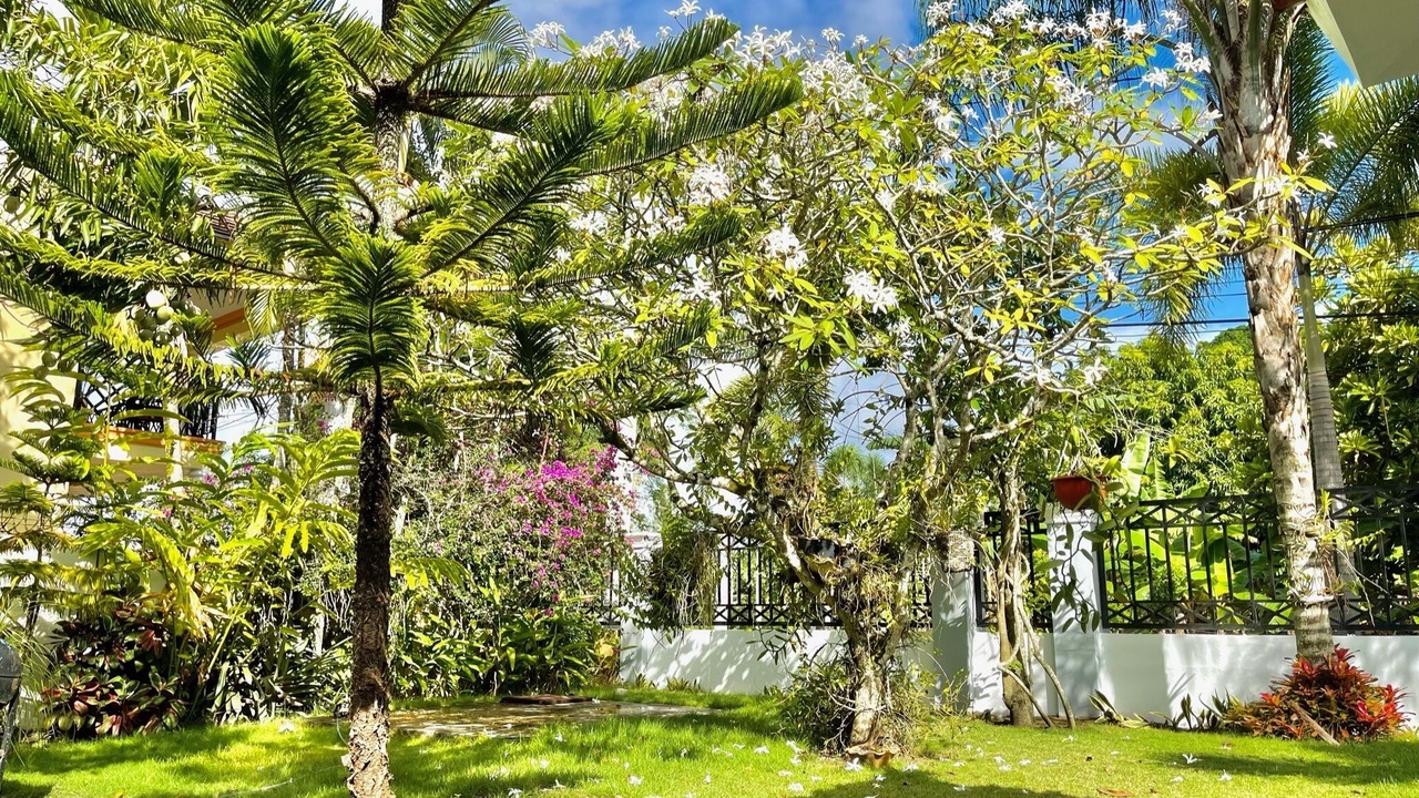 Photo of Outdoor in San Francisco de Macoris