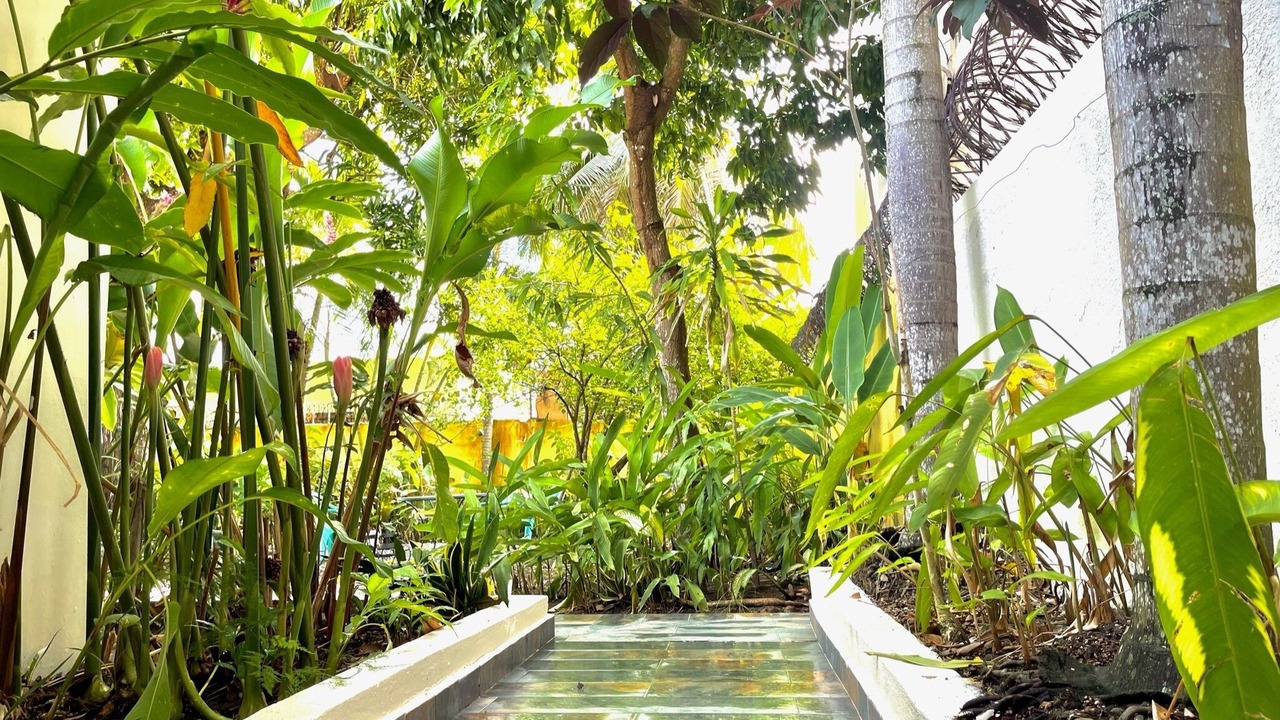 Photo of Outdoor in San Francisco de Macoris