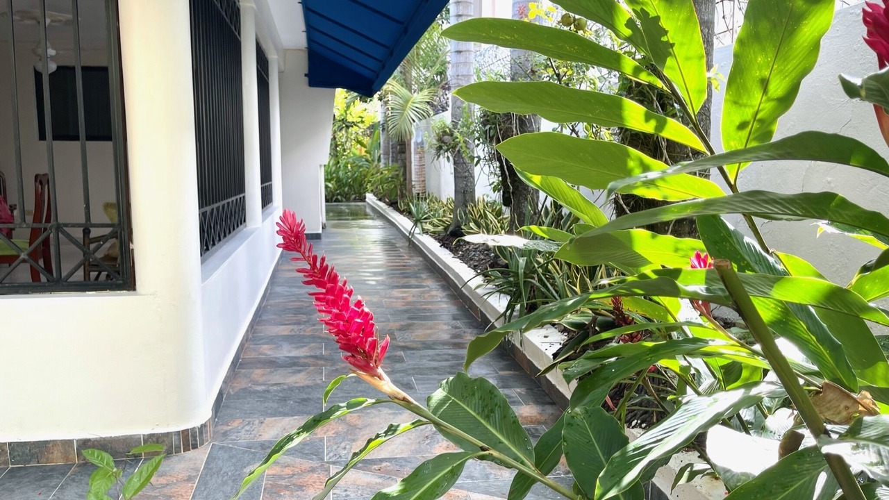 Photo of Outdoor in San Francisco de Macoris