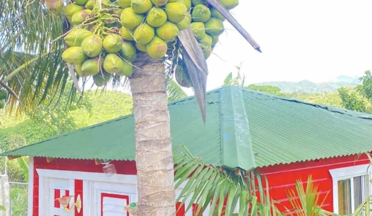 Photo of Outdoor in San Jose de Ocoa