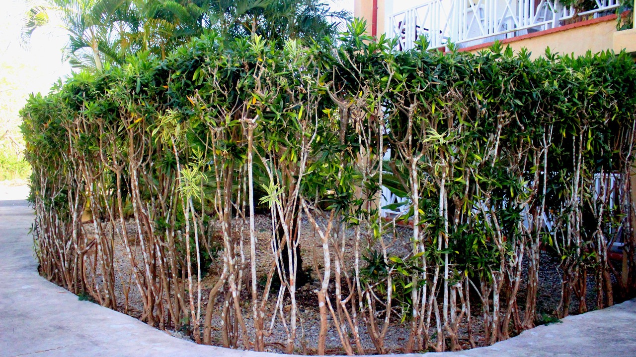 Photo of Outdoor in Dominicus