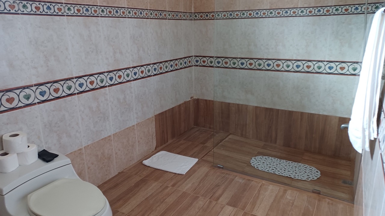 Photo of Bathroom in Santiago de los Caballeros