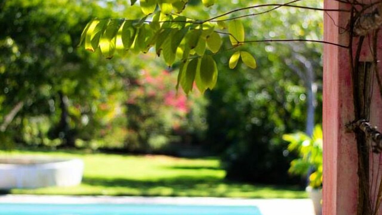 Photo of Outdoor in Casa de Campo