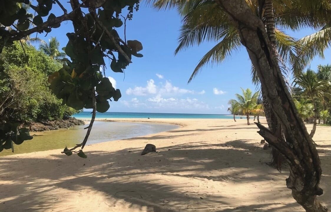 Photo of Others in Las Terrenas