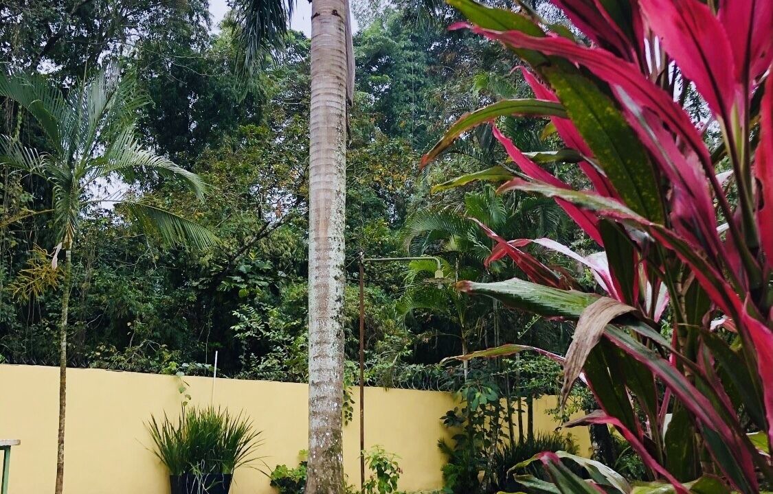 Photo of Outdoor in Bonao