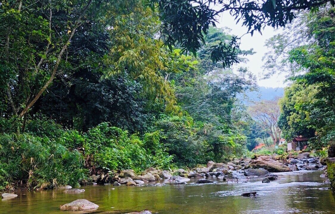 Photo of Outdoor in Bonao