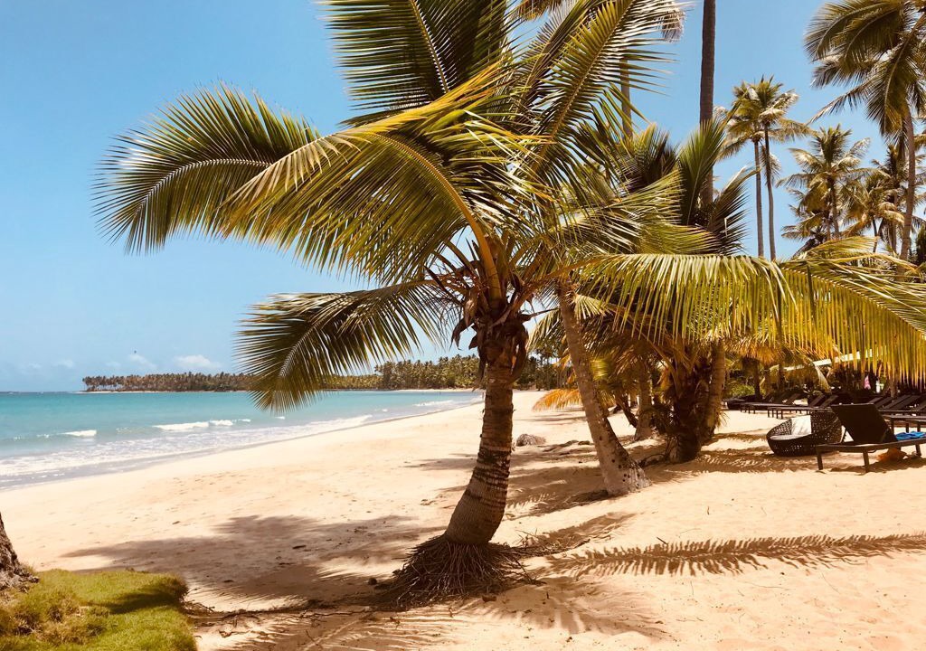 Photo of Others in Puerto Bahia
