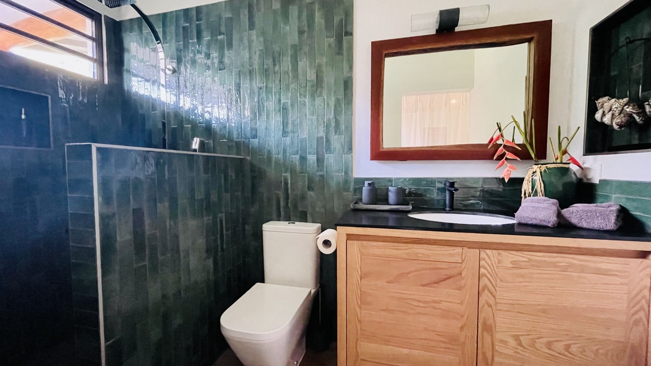 Photo of Bathroom in Tiahura