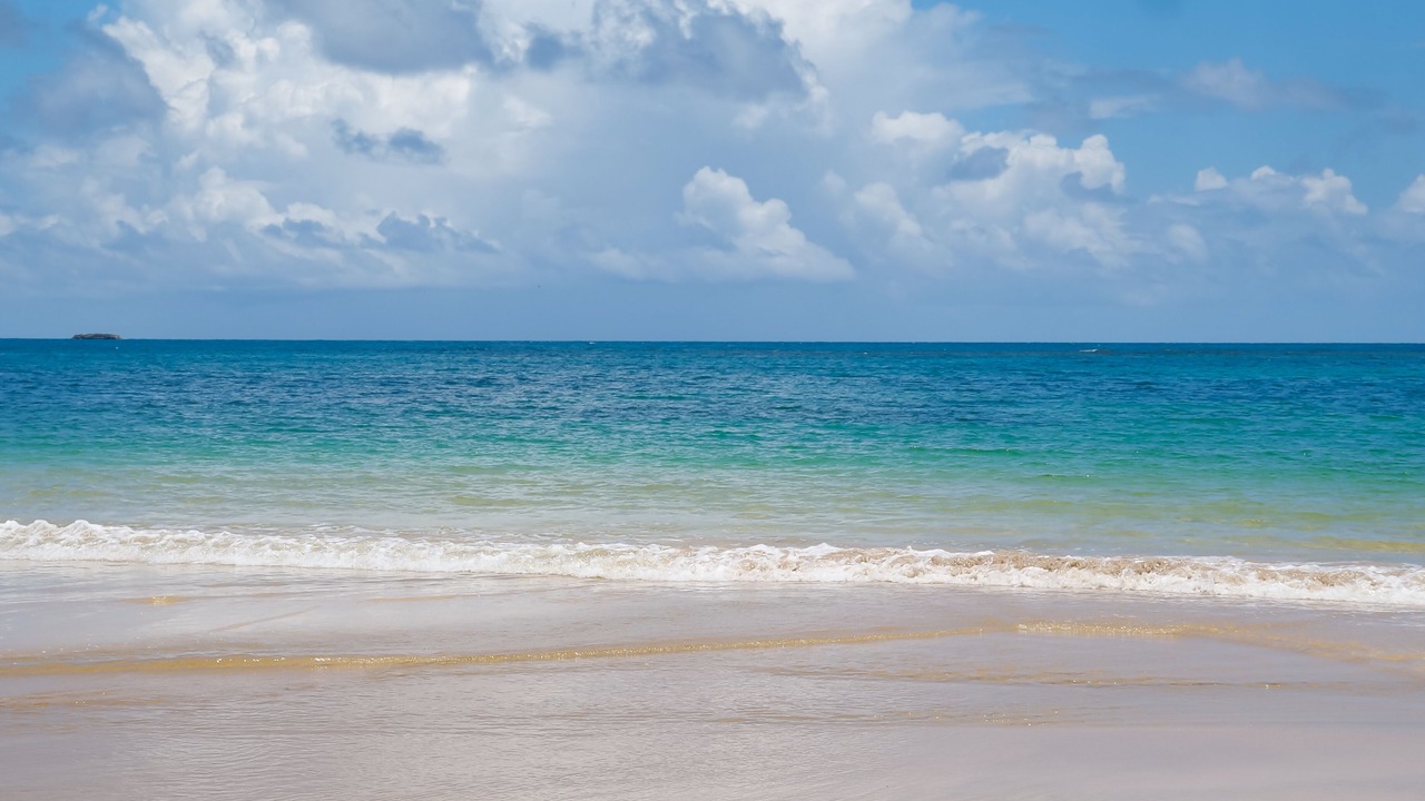 Photo of Others in Puerto Bahia