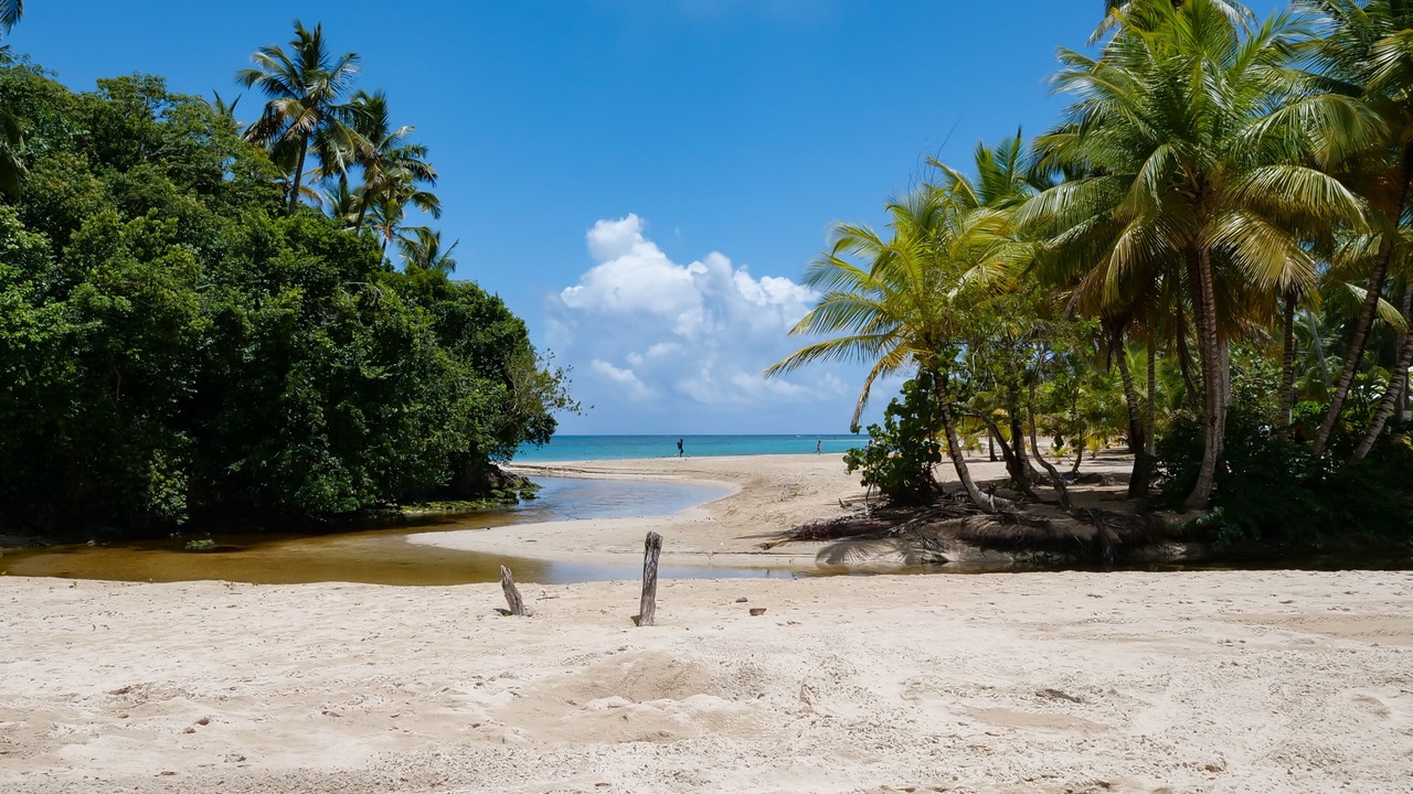 Photo of Others in Puerto Bahia