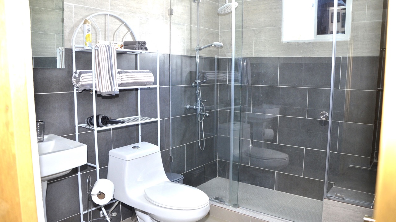 Photo of Bathroom in Santiago Province