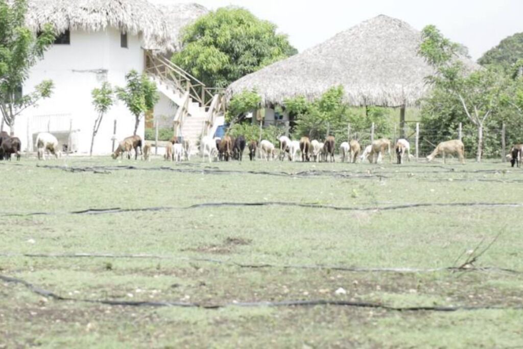 Photo of Outdoor in Los Llanos