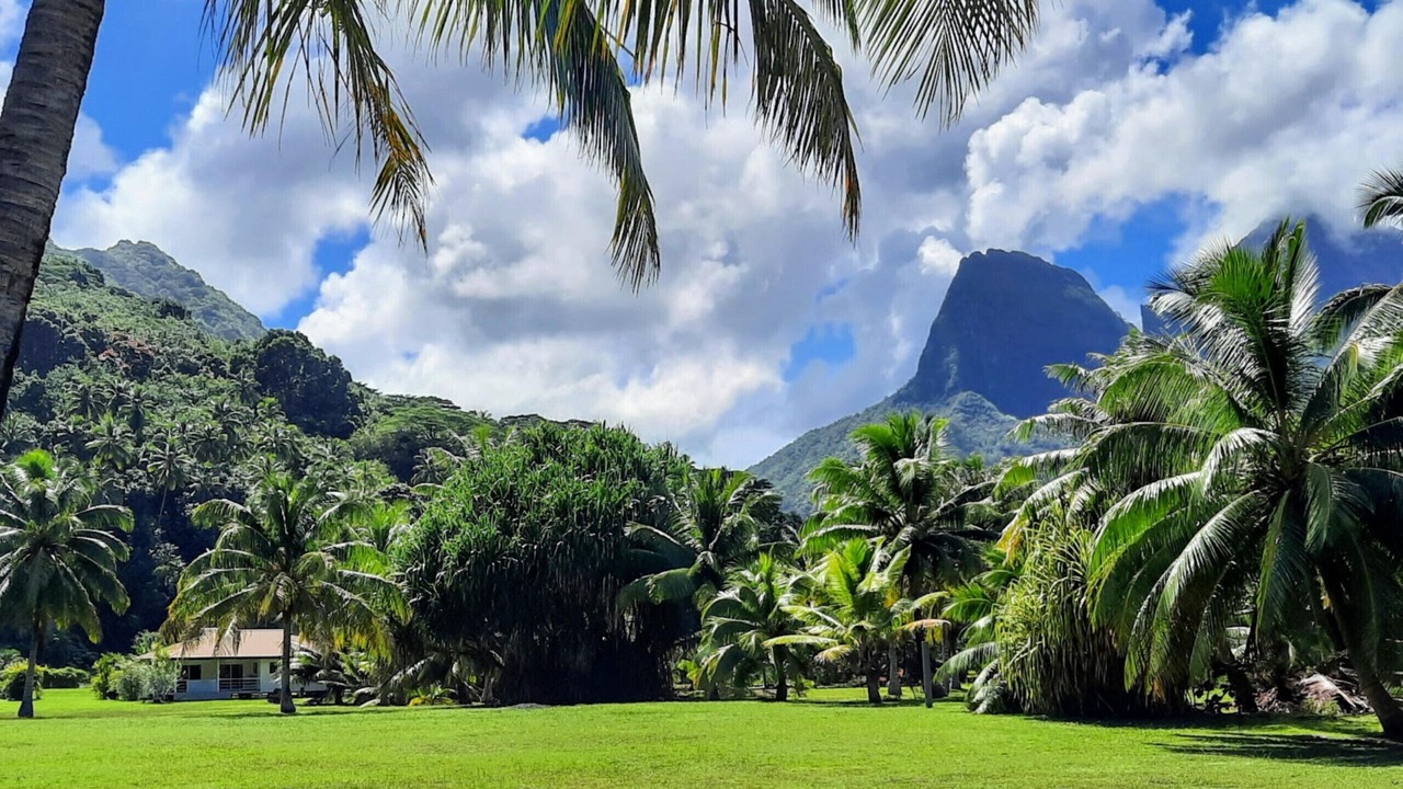 Photo of Outdoor in Moorea-Maiao