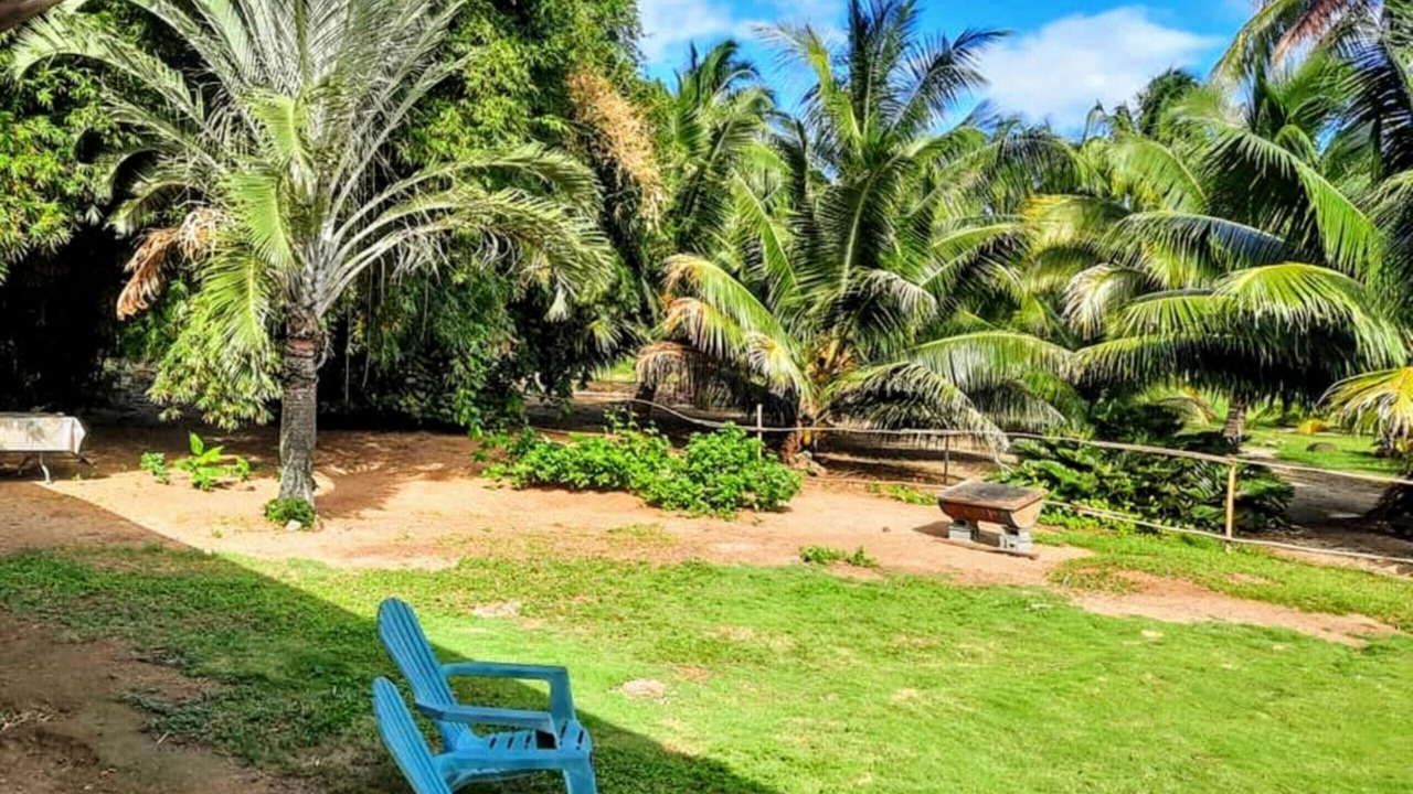 Photo of Outdoor in Moorea-Maiao
