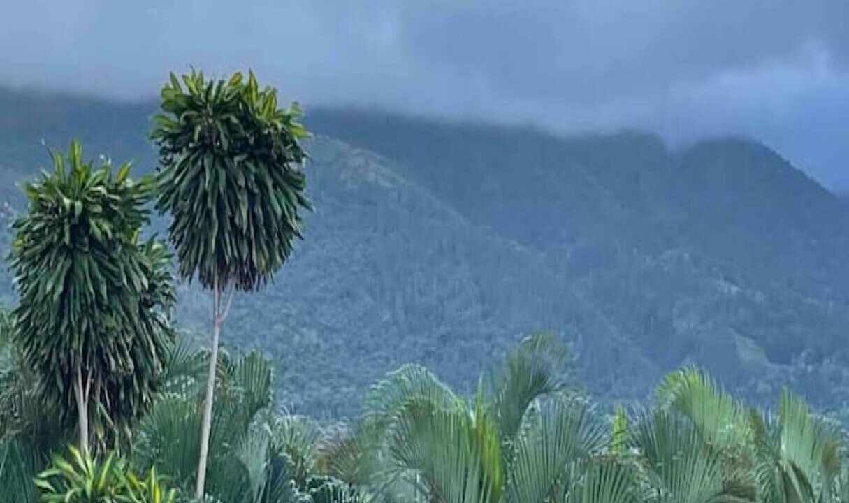 Photo of Others in Jarabacoa