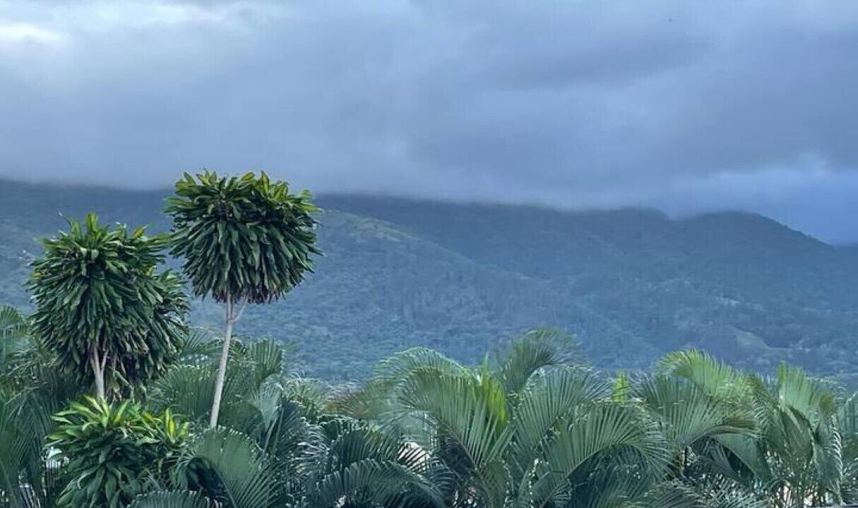 Photo of Others in Jarabacoa