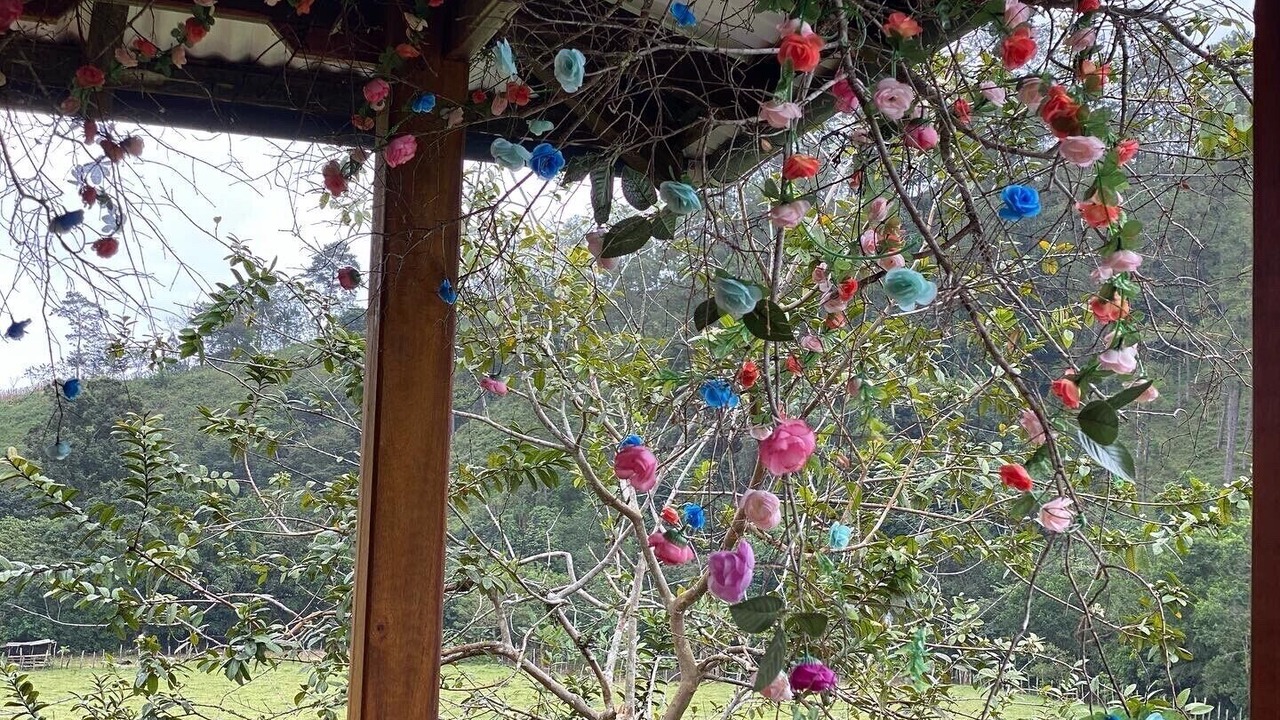 Photo of Outdoor in Jarabacoa