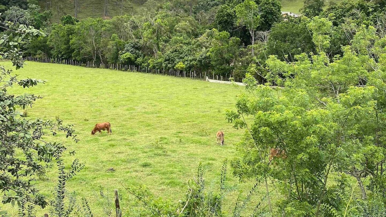 Photo of Outdoor in Jarabacoa