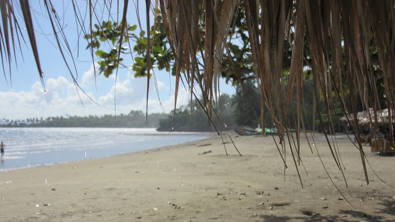 Photo of Others in Puerto Bahia