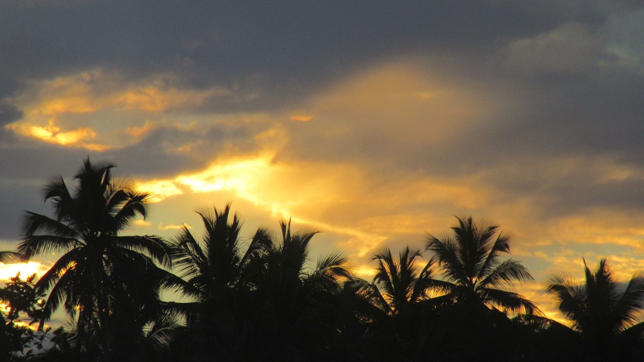 Photo of Others in Puerto Bahia