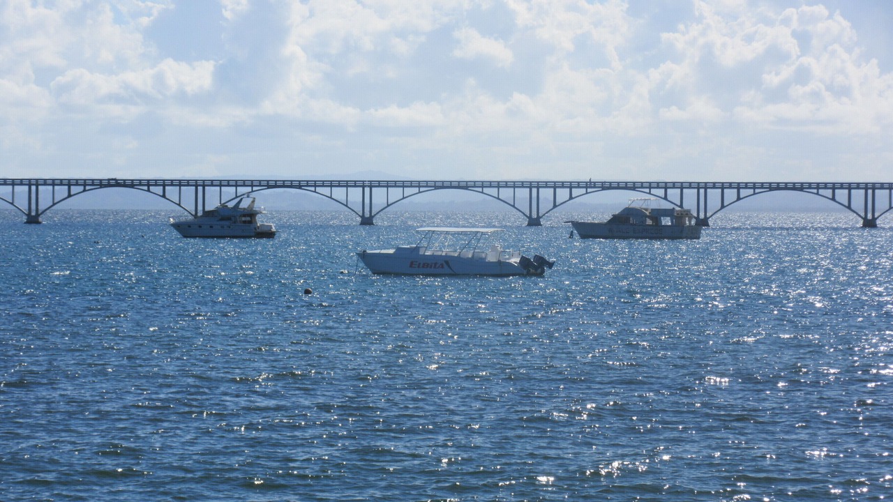 Photo of Others in Puerto Bahia