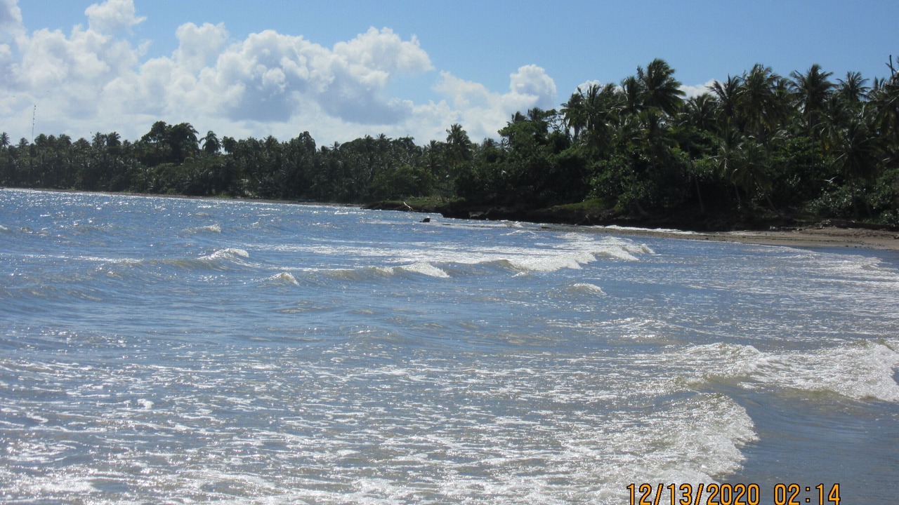 Photo of Others in Puerto Bahia