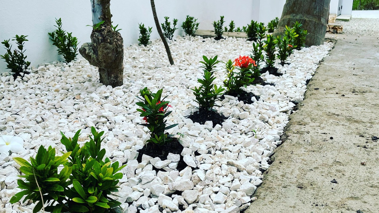 Photo of Outdoor in Cabrera