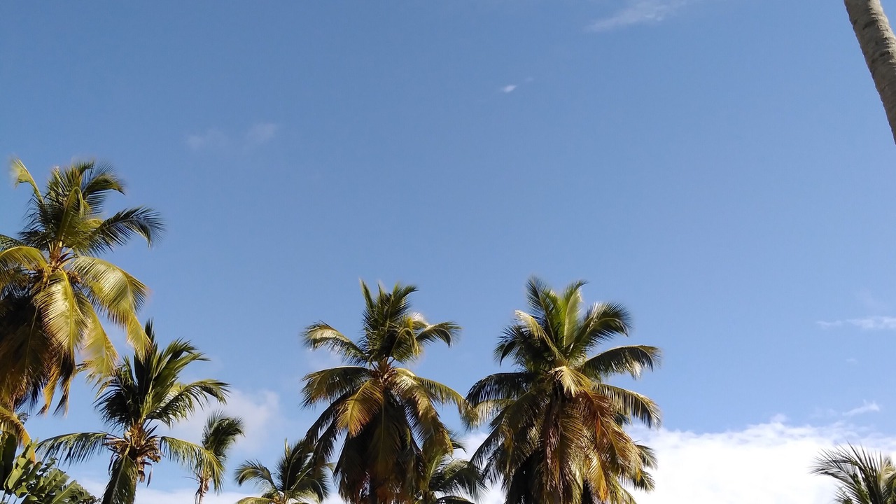 Photo of Others in Samana
