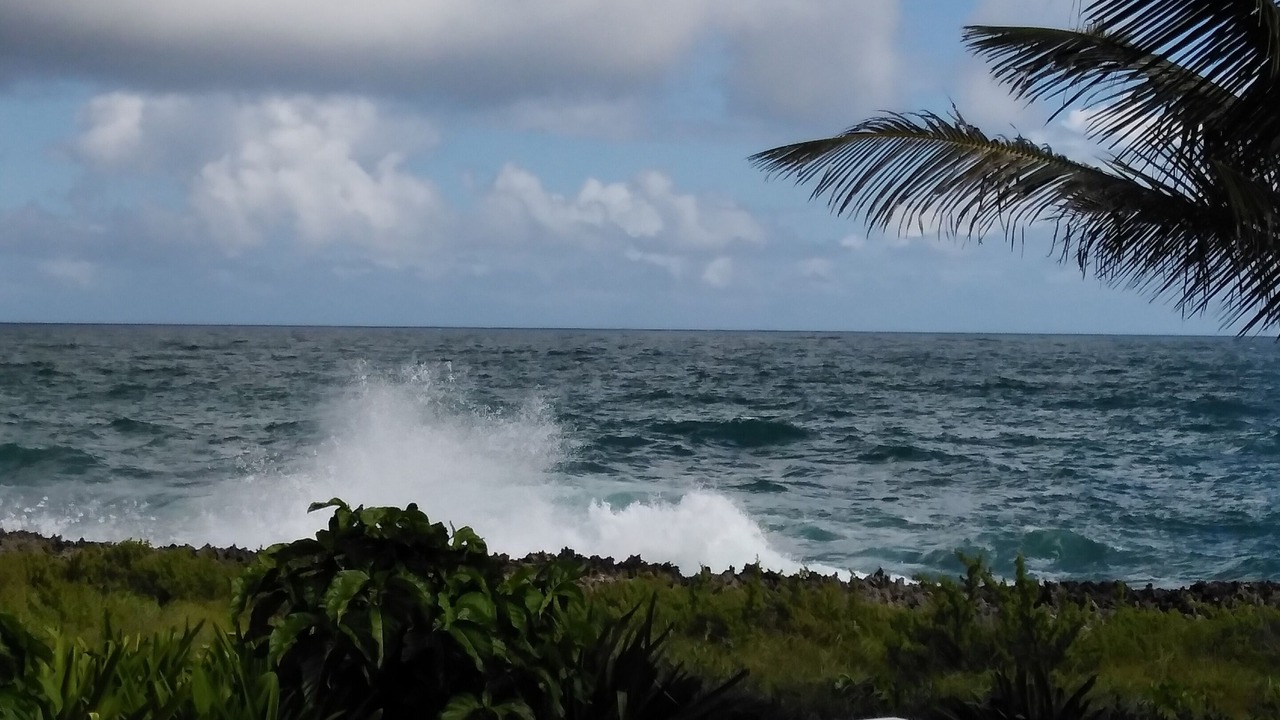 Photo of Outdoor in Samana