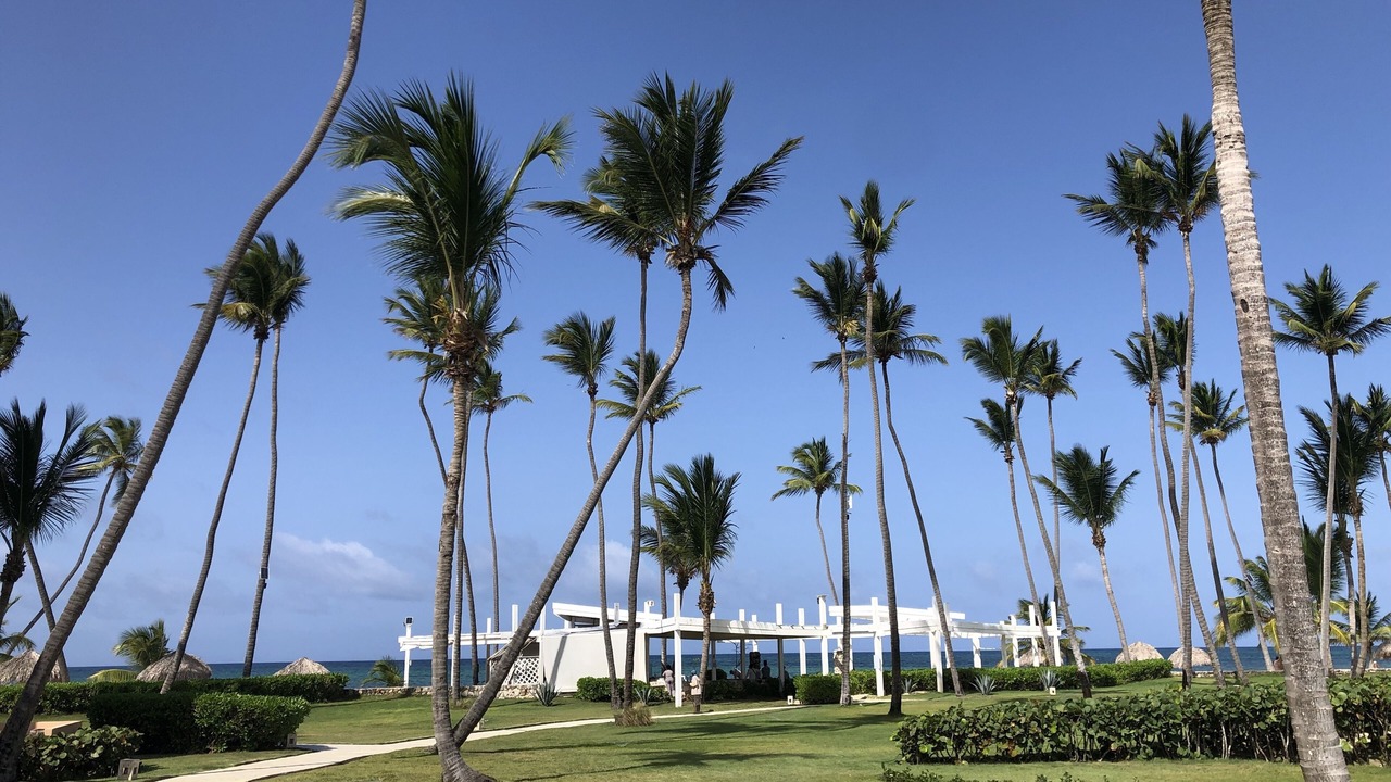 Photo of Outdoor in El Cortecito