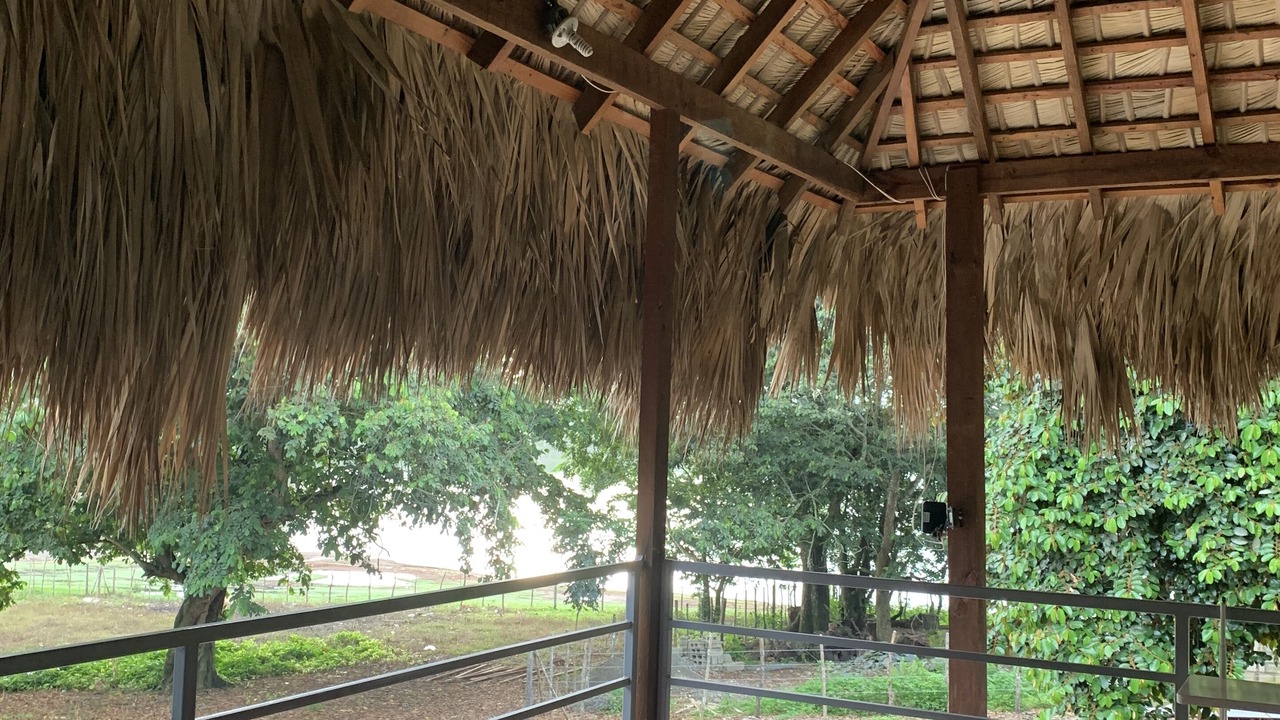 Photo of Patio Balcony in Cotui
