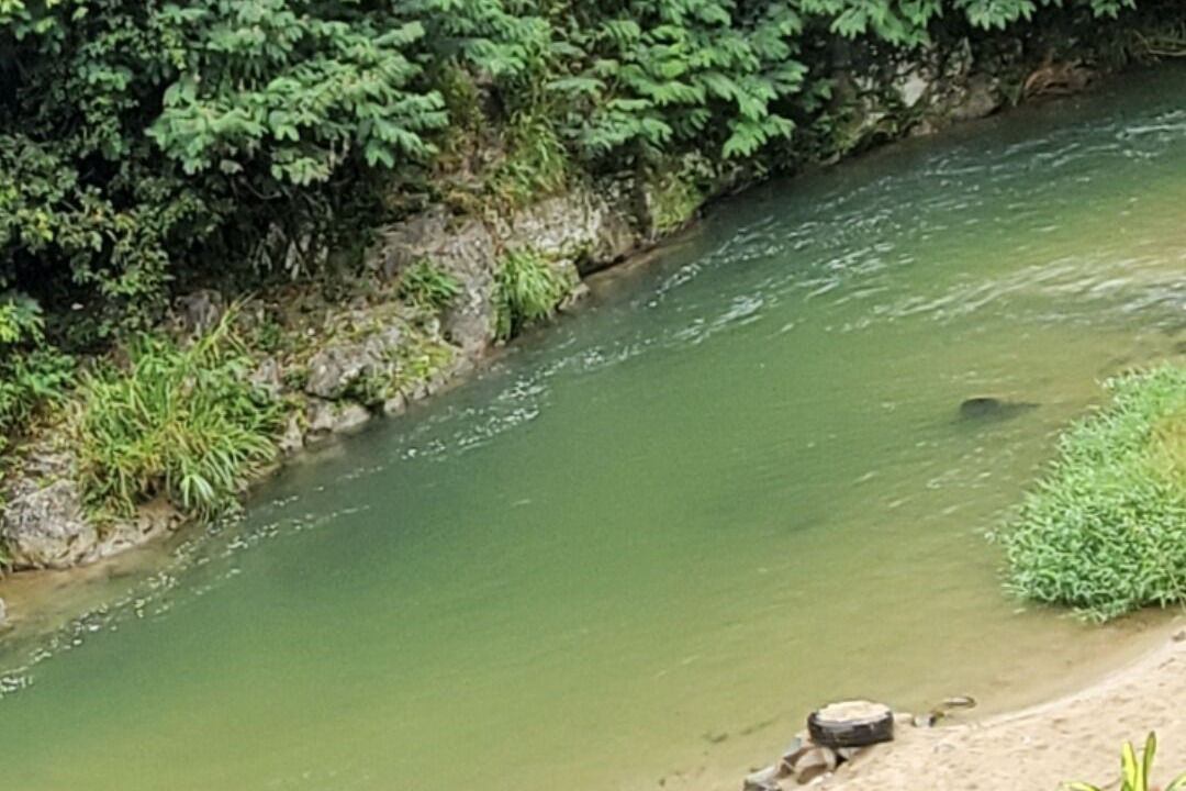 Photo of Others in Jarabacoa