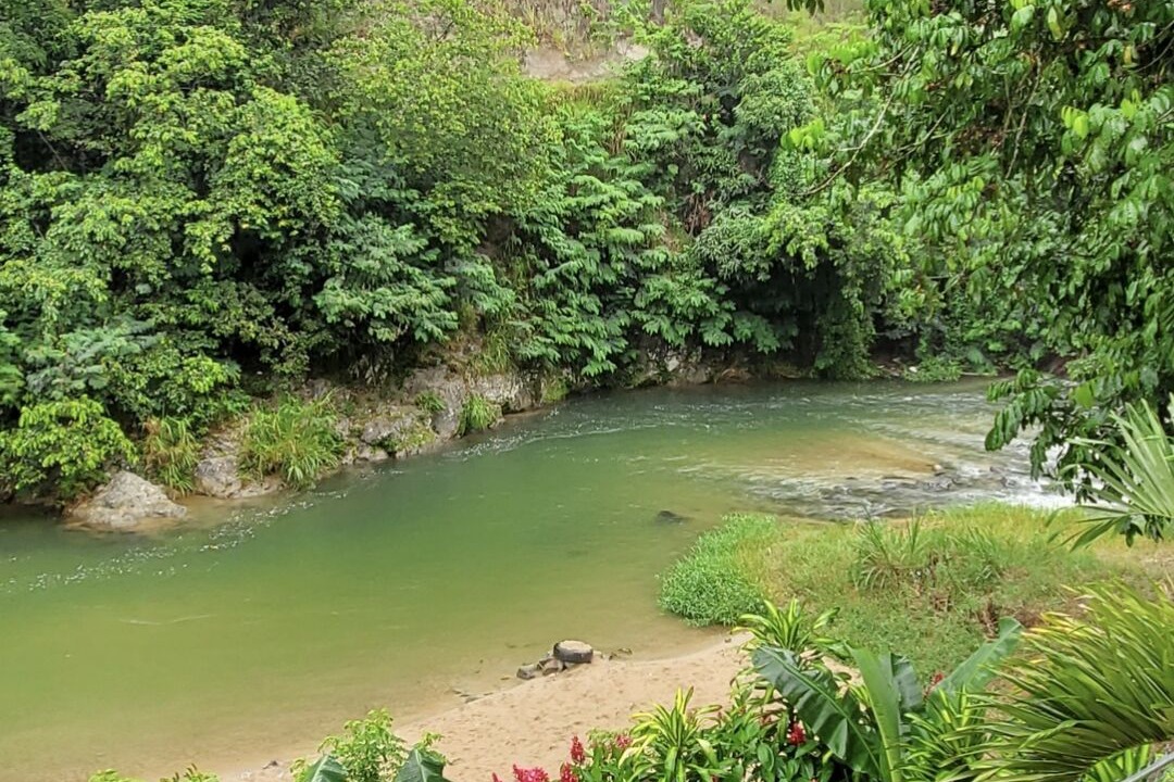 Photo of Outdoor in Jarabacoa