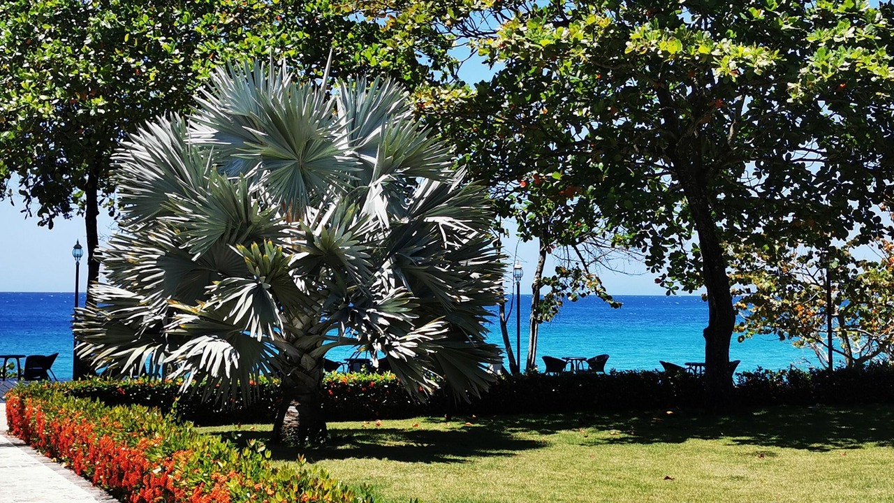Photo of Outdoor in El Batey