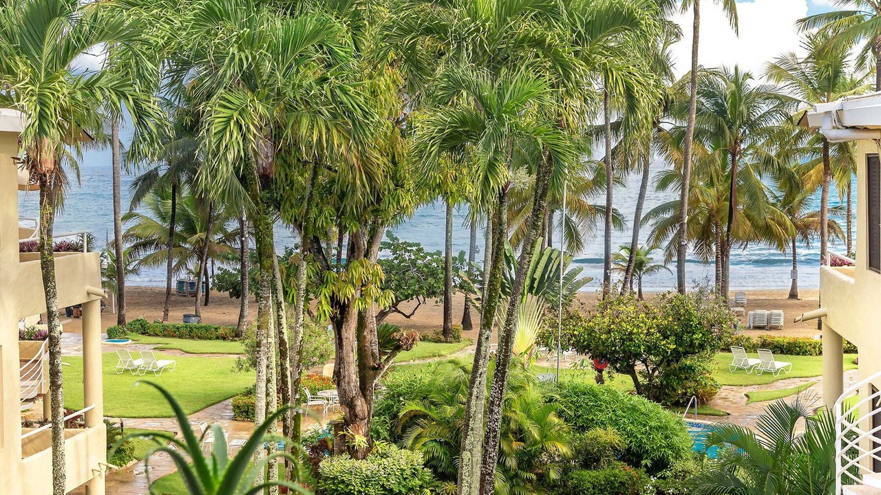 Photo of Outdoor in Cabarete