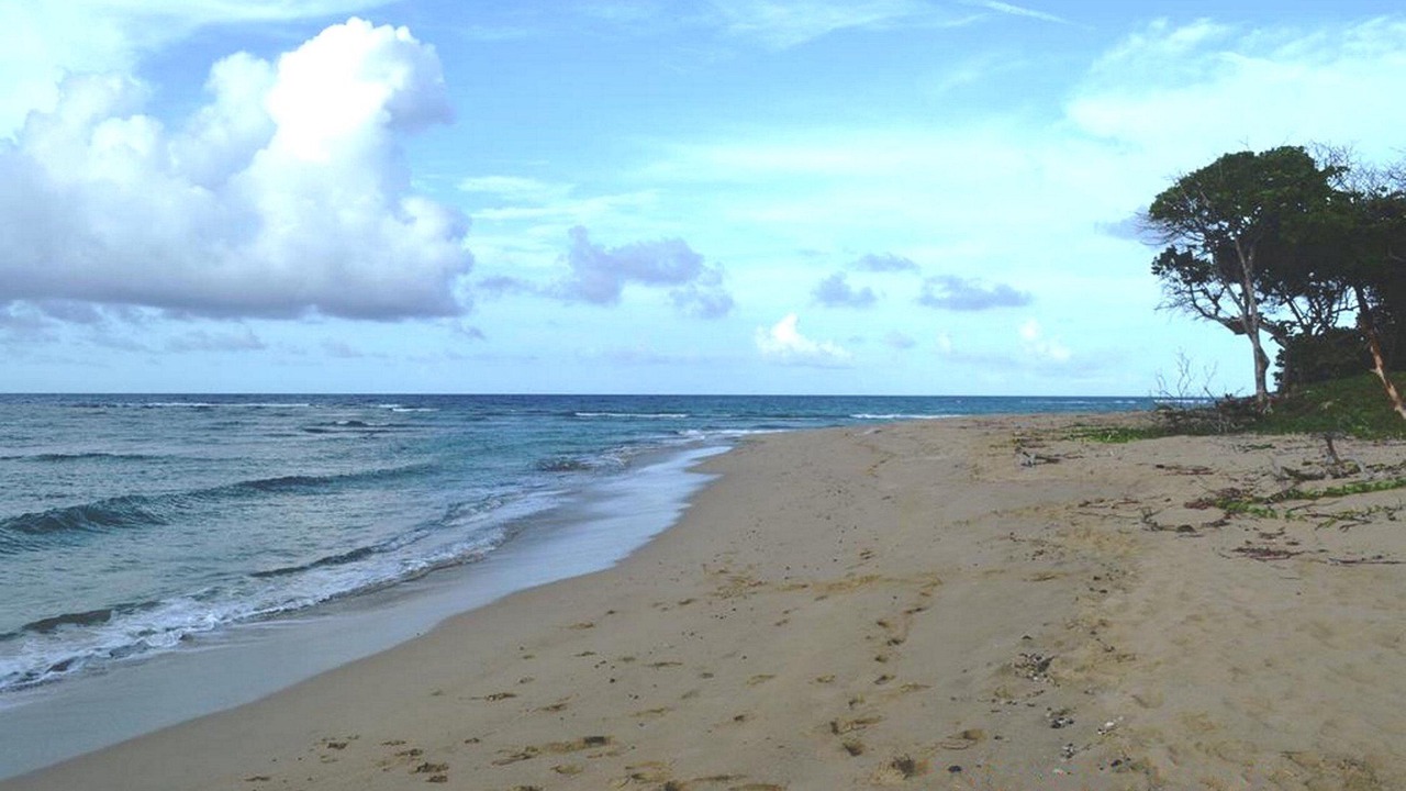 Photo of Others in Sosua
