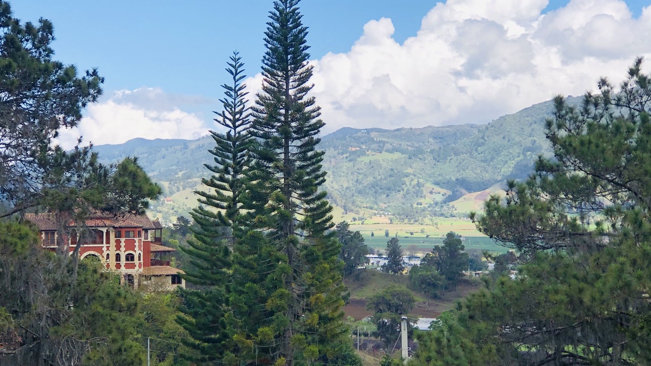 Photo of Others in Constanza
