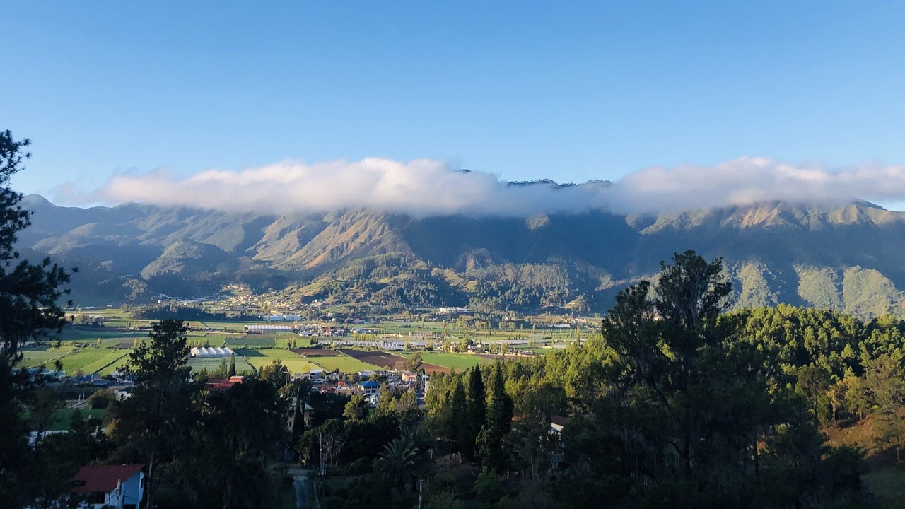 Photo of Others in Constanza