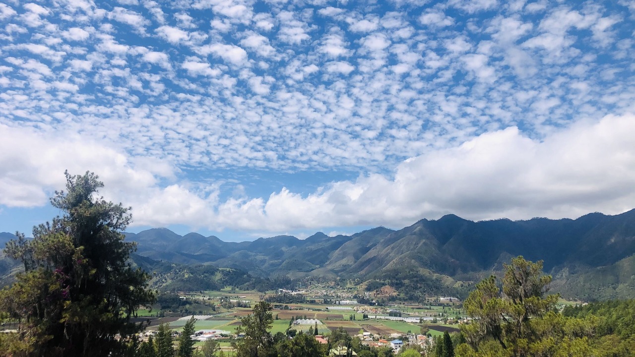 Photo of Others in Constanza