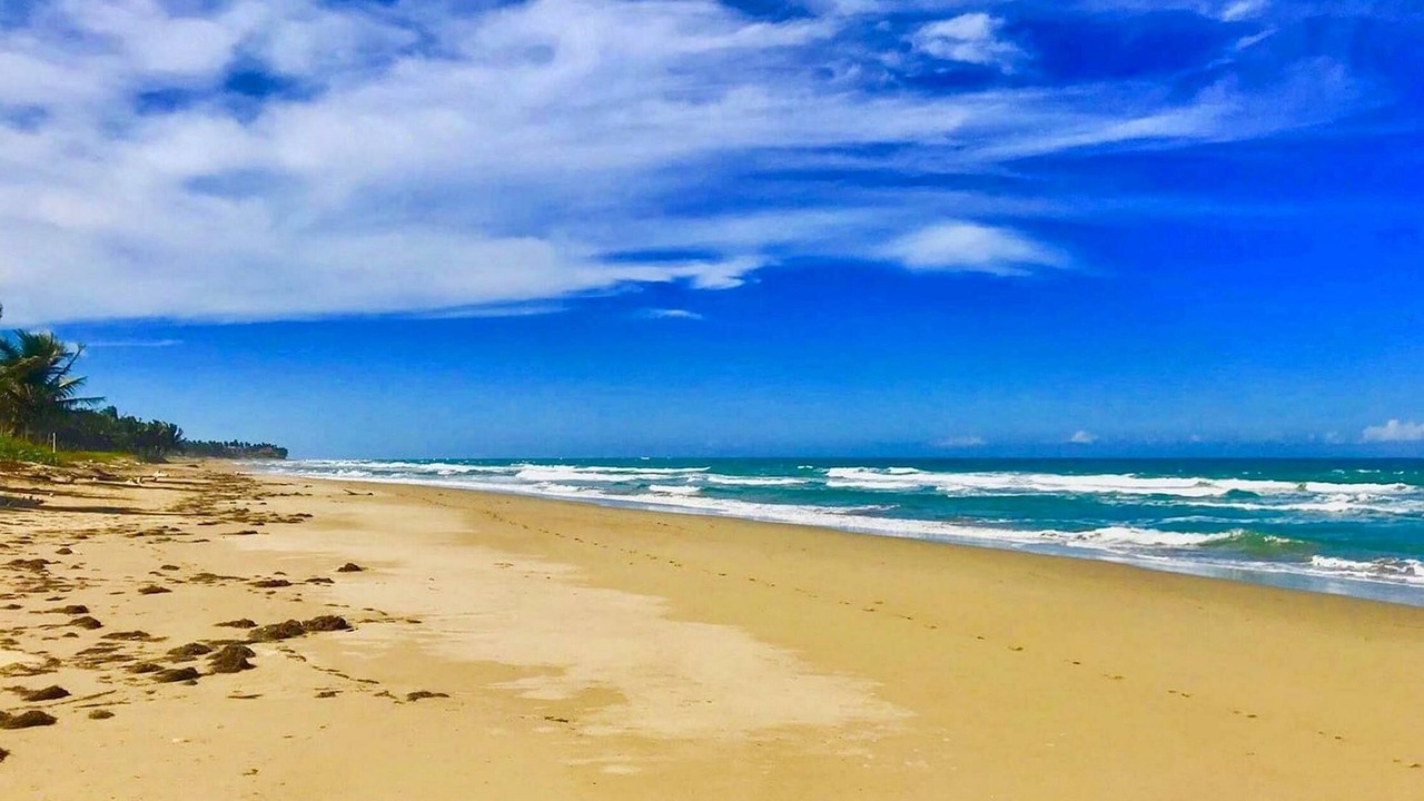 Photo of Others in Cabarete