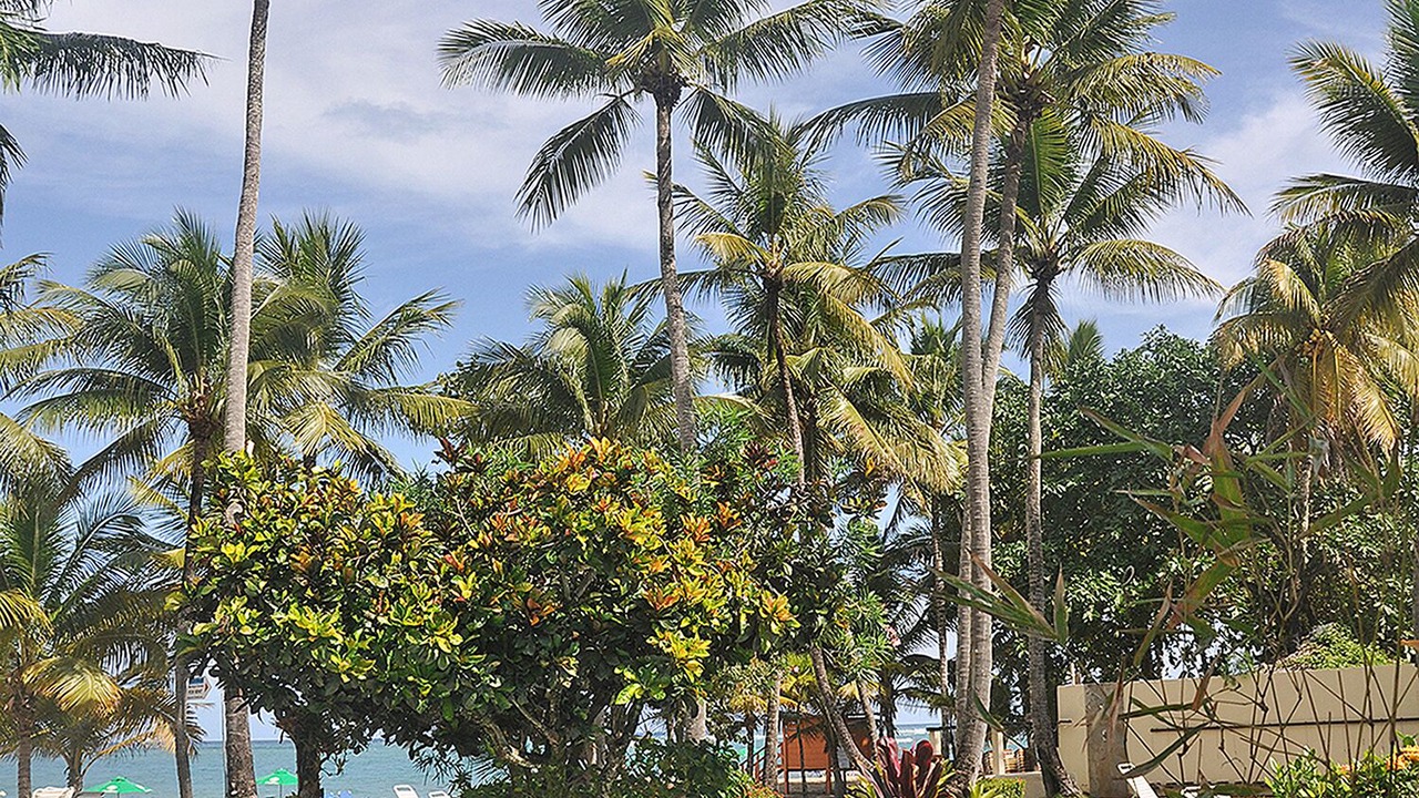 Photo of Outdoor in Cabarete