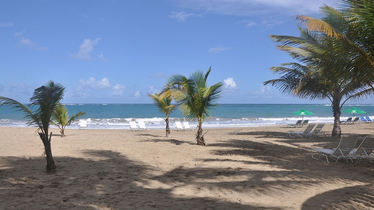 Photo of Others in Cabarete