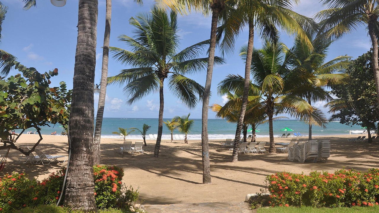 Photo of Others in Cabarete