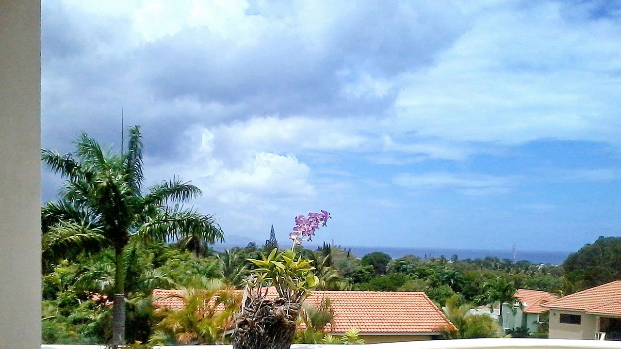 Photo of Outdoor in Urbanizacion Tavarez