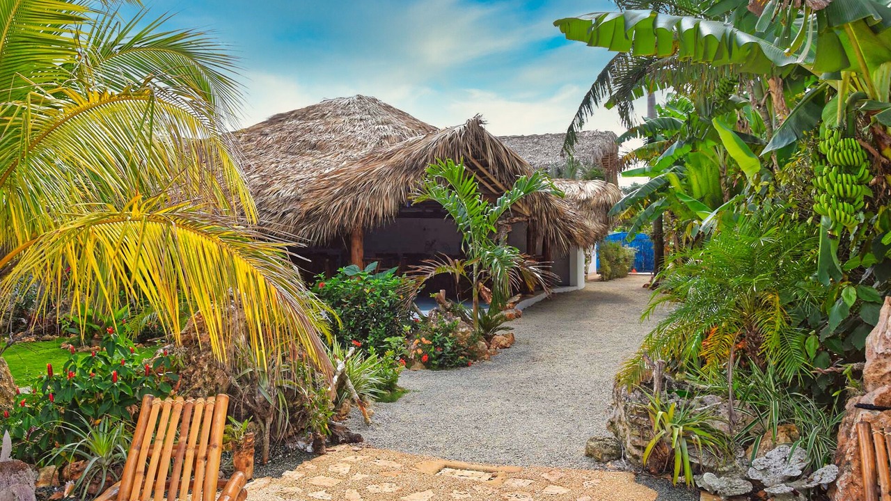 Photo of Others in Las Galeras