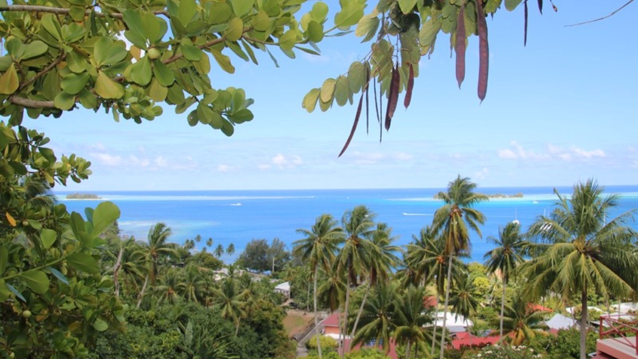 Photo of Outdoor in Bora Bora