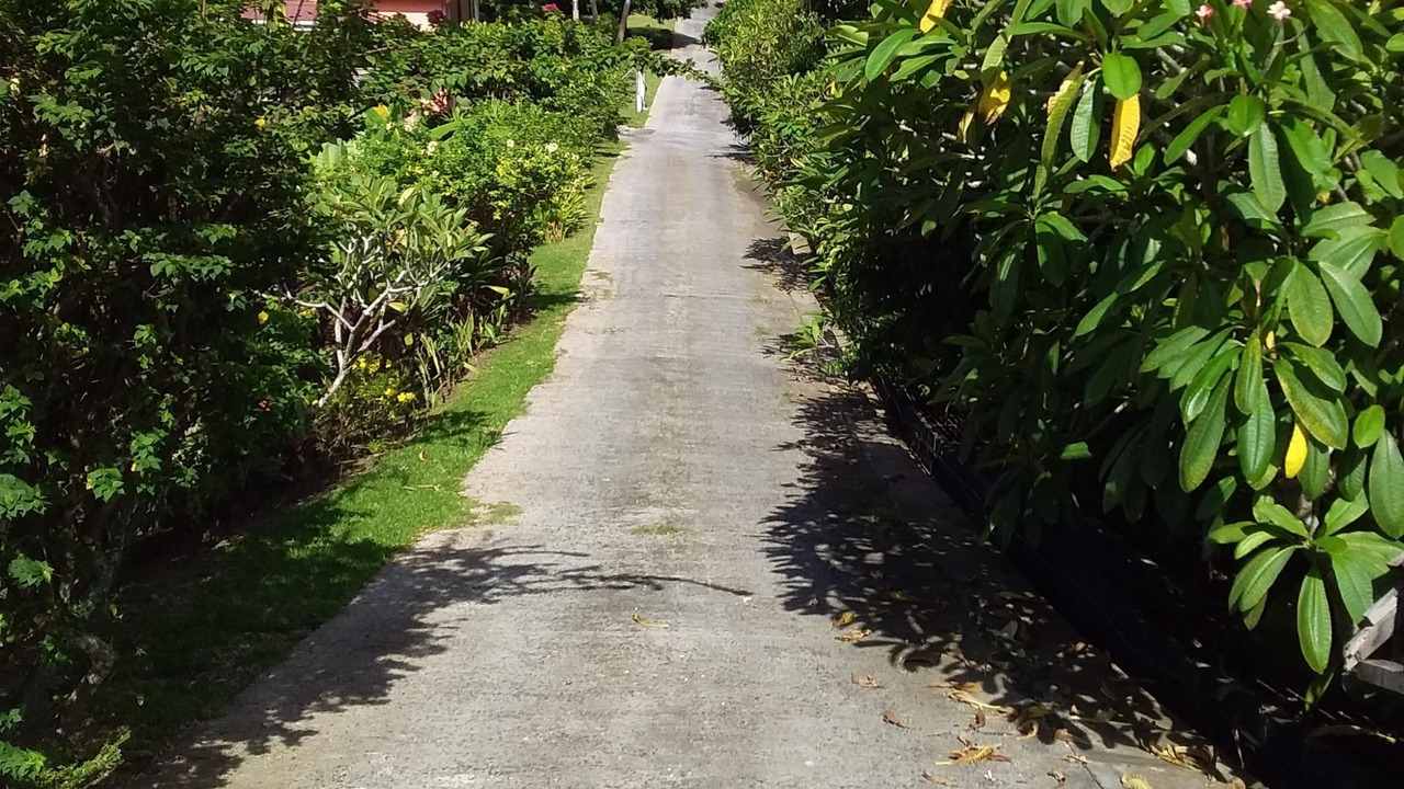 Photo of Outdoor in Bora Bora