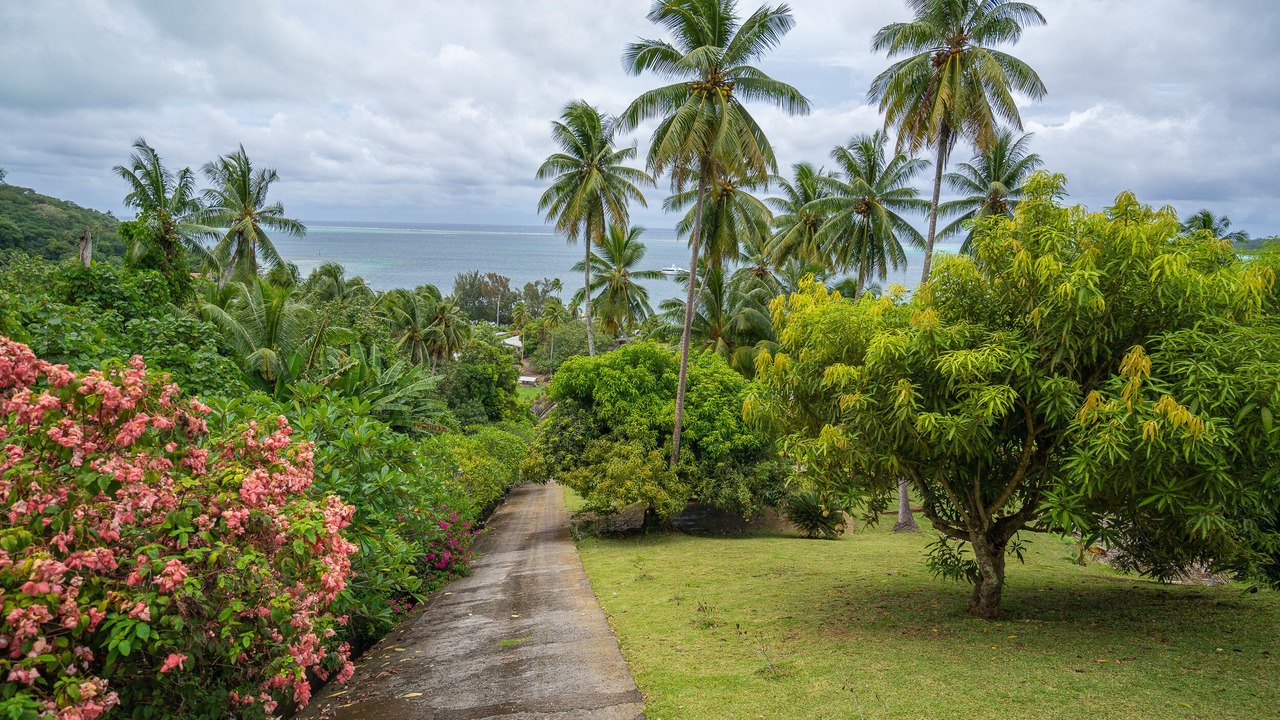 Photo of Outdoor in Bora Bora