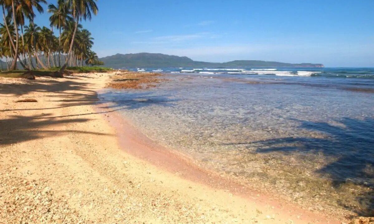 Photo of Others in Las Galeras